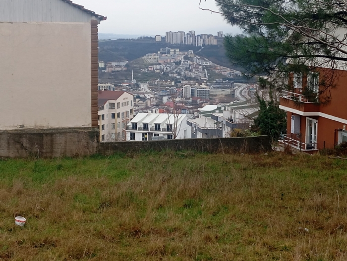 Sakarya Söğütlüde Satılık Ceviz Bahçesi Tarla