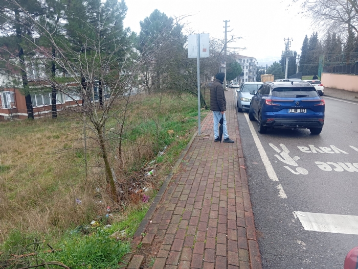 Sakarya Söğütlüde Satılık Ceviz Bahçesi Tarla