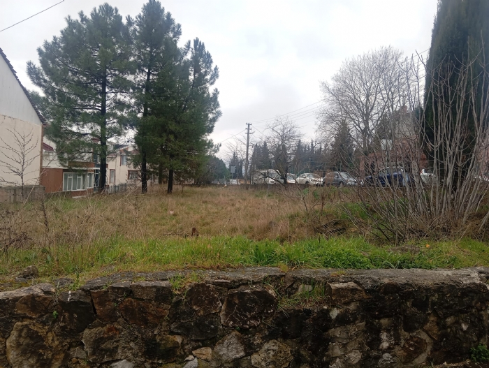 Sakarya Söğütlüde Satılık Ceviz Bahçesi Tarla