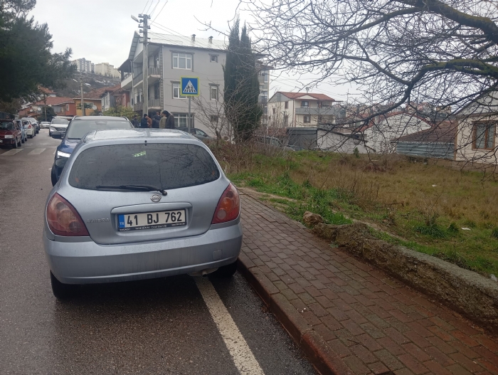 Sakarya Söğütlüde Satılık Ceviz Bahçesi Tarla