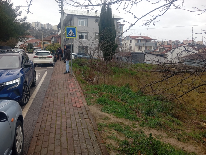 Sakarya Söğütlüde Satılık Ceviz Bahçesi Tarla