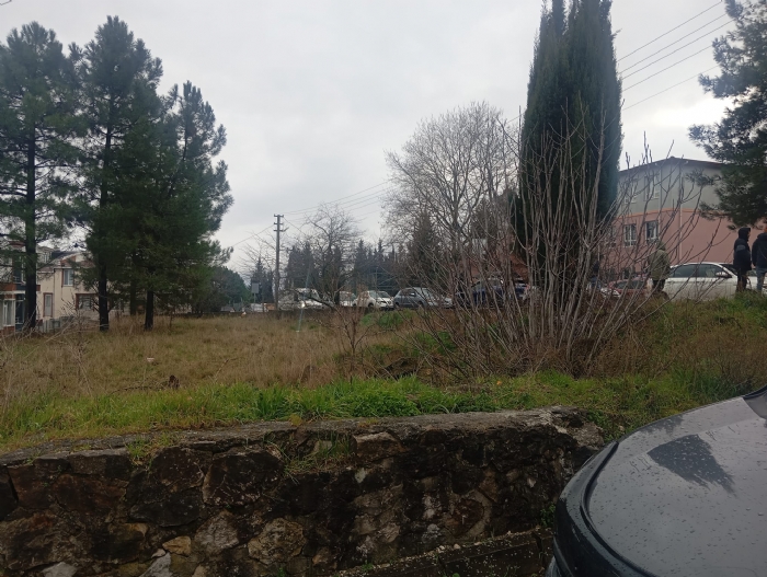 Sakarya Söğütlüde Satılık Ceviz Bahçesi Tarla